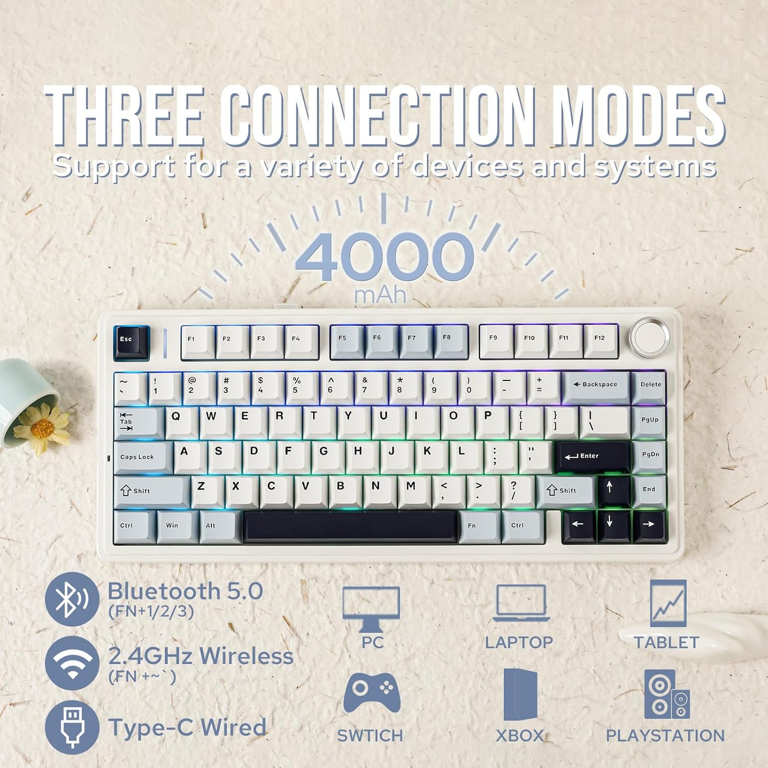 Gaming Keyboard Mini Mechanical - Clavier mécanique Aula F75 75% sans